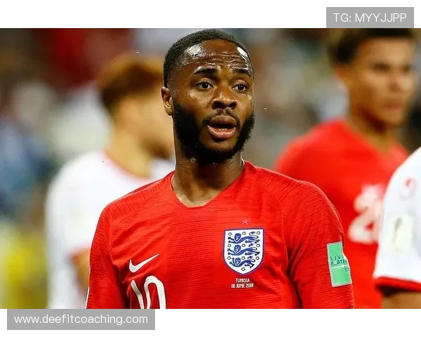 斯特林比赛稳定性