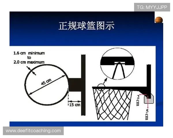圆柱体原则在篮球规则中的解析及适用标准是什么
